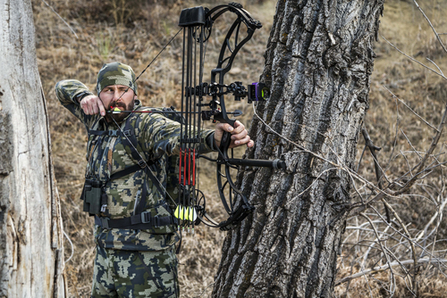 Bow Hunting in North Texas: Selecting the Right Compound Bow