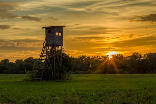 As Temperatures Continue to Rise, How Can Texas Hunters Beat the Heat?